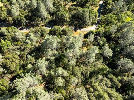 Iron Mine Rd, Auburn, CA 95602 Photo