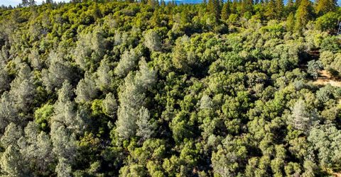 Iron Mine Rd, Auburn, CA 95602 Photo