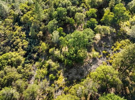 Iron Mine Rd, Auburn, CA 95602 Photo