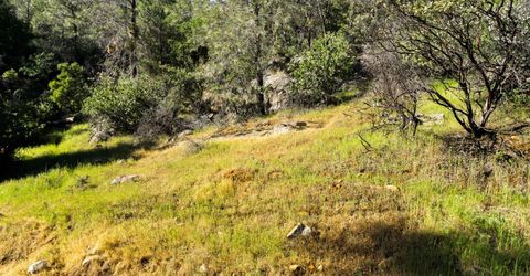 Iron Mine Rd, Auburn, CA 95602 Photo