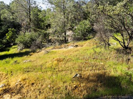 Iron Mine Rd, Auburn, CA 95602 Photo