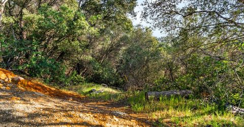 Iron Mine Rd, Auburn, CA 95602 Photo