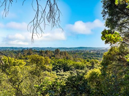 Iron Mine Rd, Auburn, CA 95602 Photo