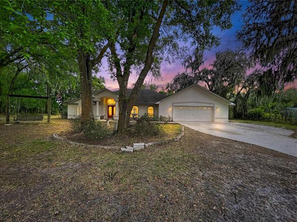 8402 SOUTHWOOD PINES STREET , LITHIA, FL 33547