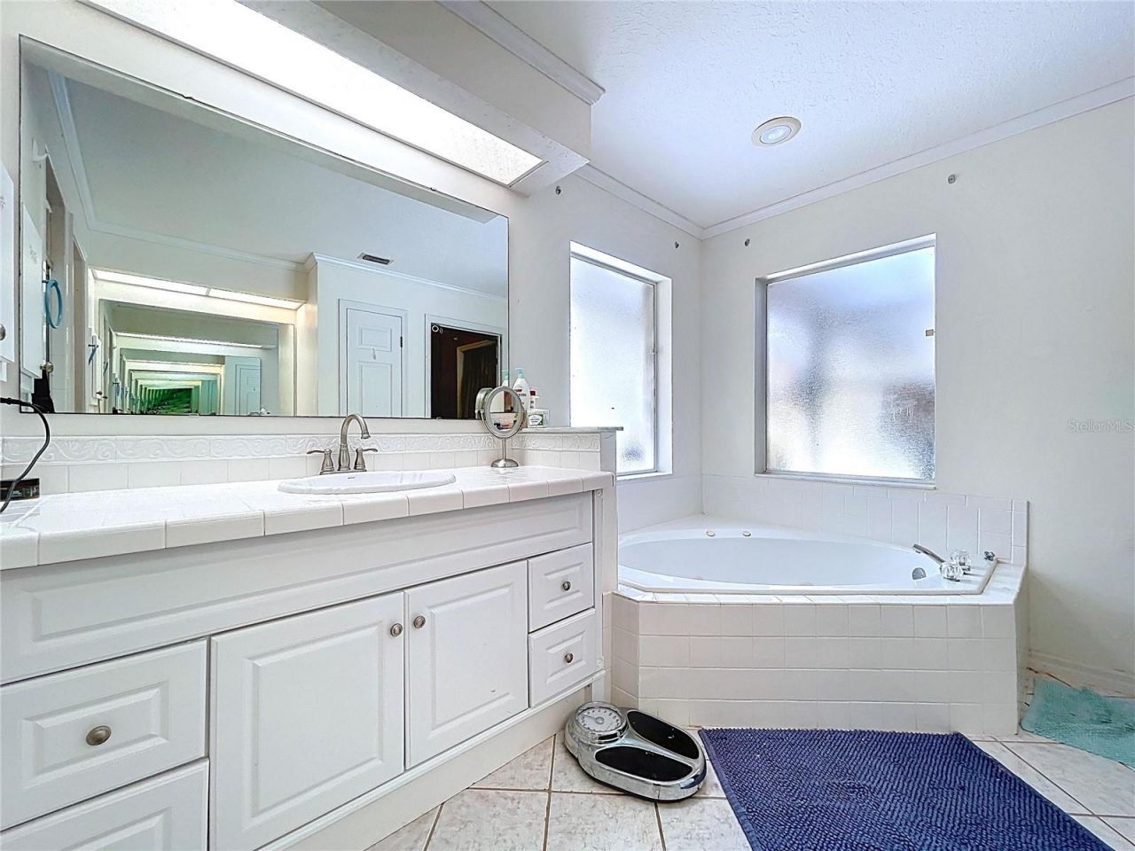 8402 Southwood Pines Street, Lithia, FL 33547 Photo