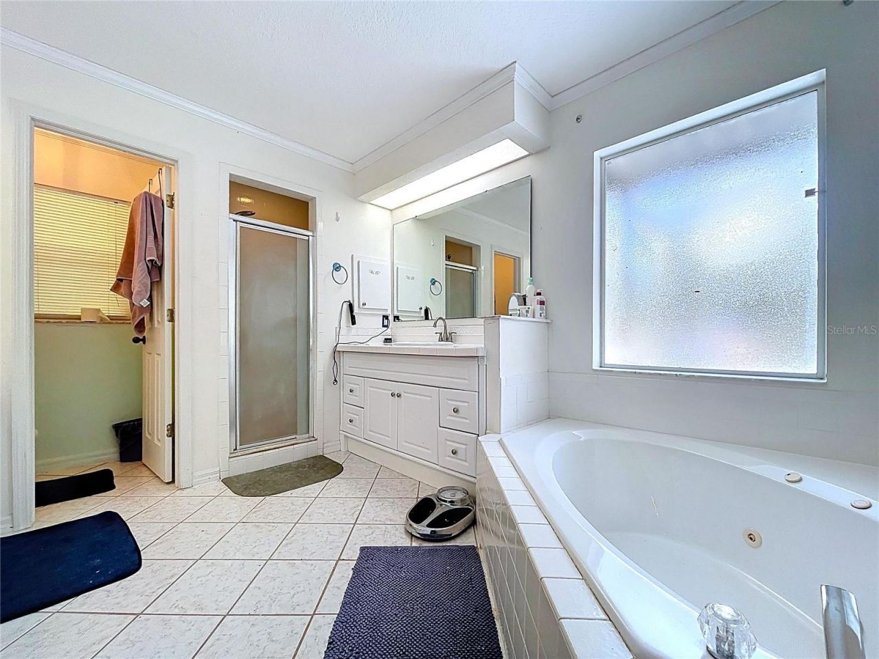 8402 Southwood Pines Street, Lithia, FL 33547 Photo