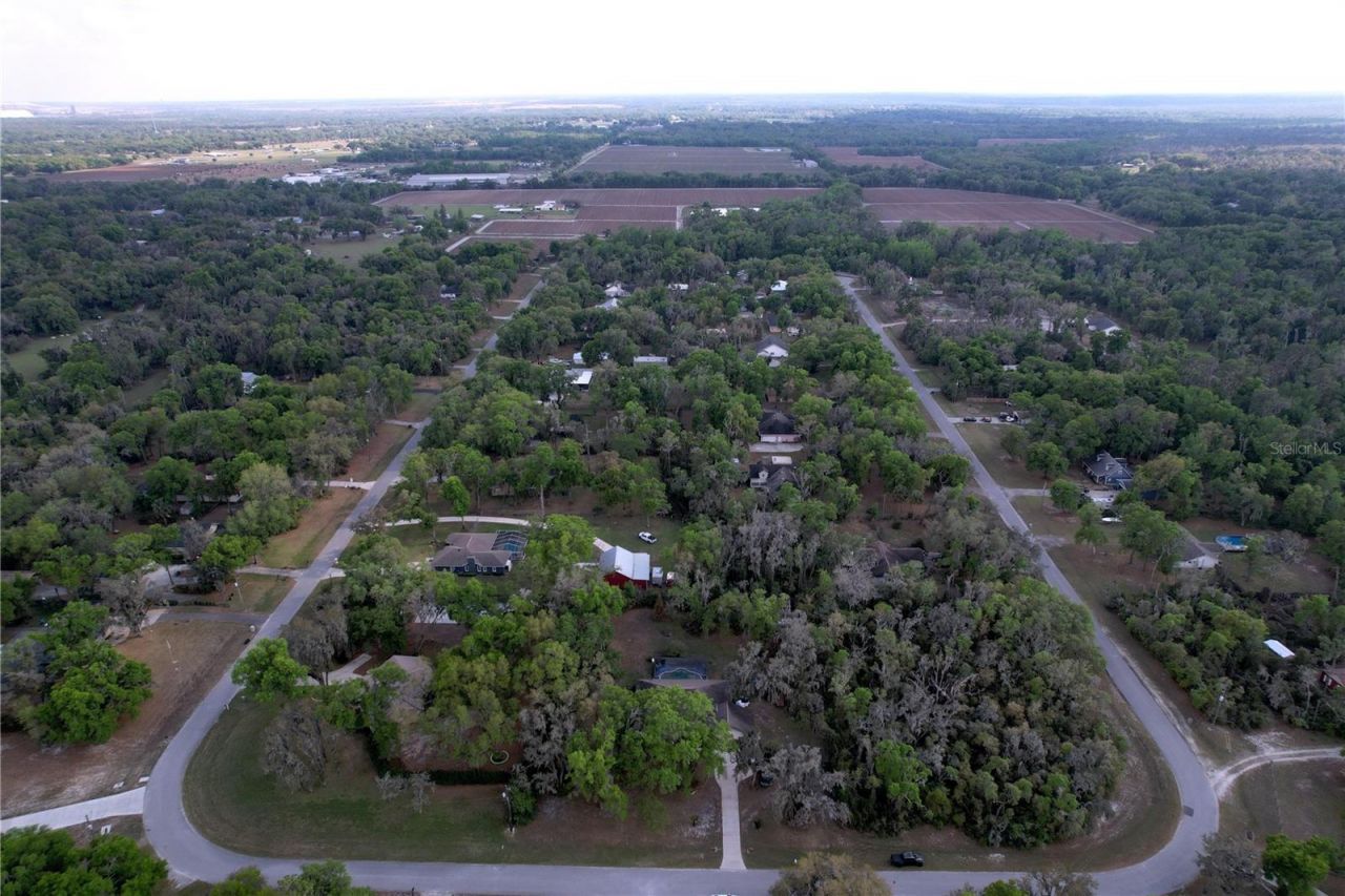 8402 Southwood Pines Street, Lithia, FL 33547 Photo