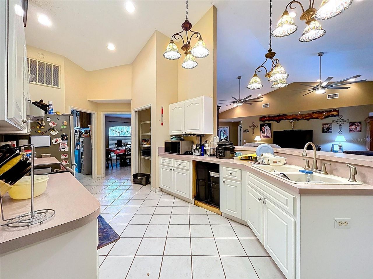 8402 Southwood Pines Street, Lithia, FL 33547 Photo