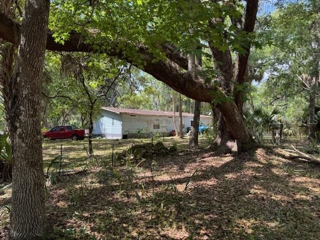 2992 N C 470 , Lake Panasoffkee, FL 33538 Photo