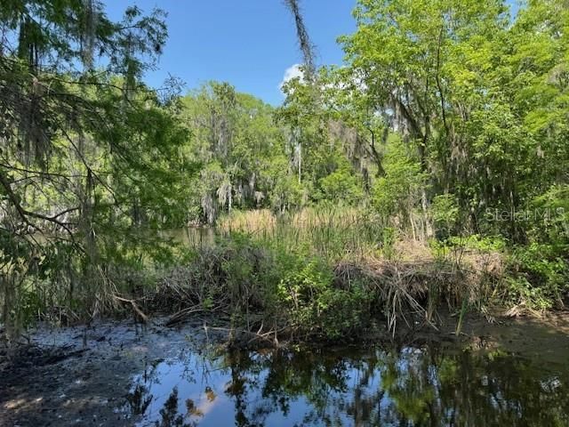2992 N C 470 , Lake Panasoffkee, FL 33538 Photo