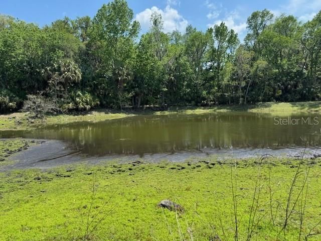 2992 N C 470 , Lake Panasoffkee, FL 33538 Photo