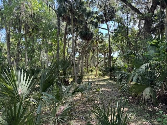 2992 N C 470 , Lake Panasoffkee, FL 33538 Photo