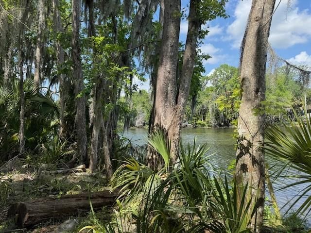 2992 N C 470 , Lake Panasoffkee, FL 33538 Photo