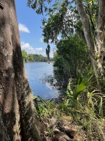 2992 N C 470 , Lake Panasoffkee, FL 33538 Photo