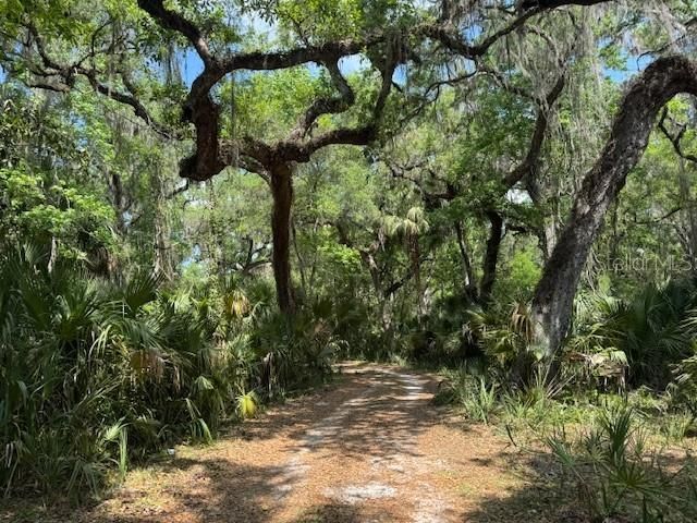 2992 N C 470 , Lake Panasoffkee, FL 33538 Photo