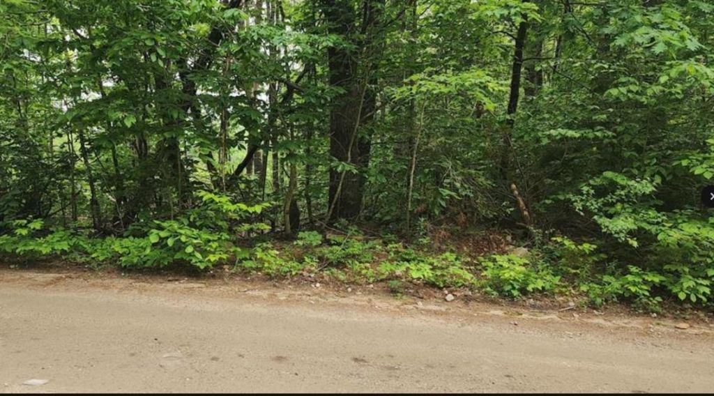 Pine Ridge Road, Lot #3, Middleton, NH 03887 Main Photo