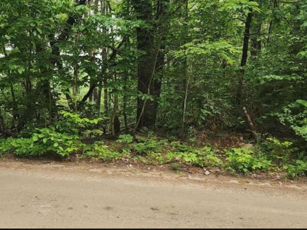 Pine Ridge Road, Unit 3, Middleton, NH 03887