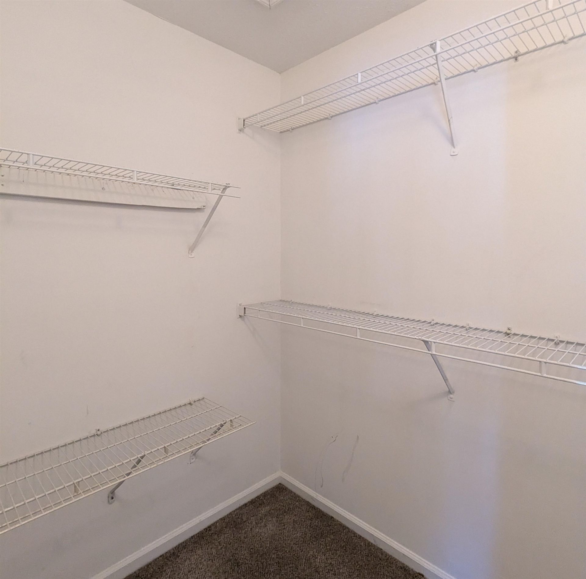 8031 Resin Rd. Photo 11