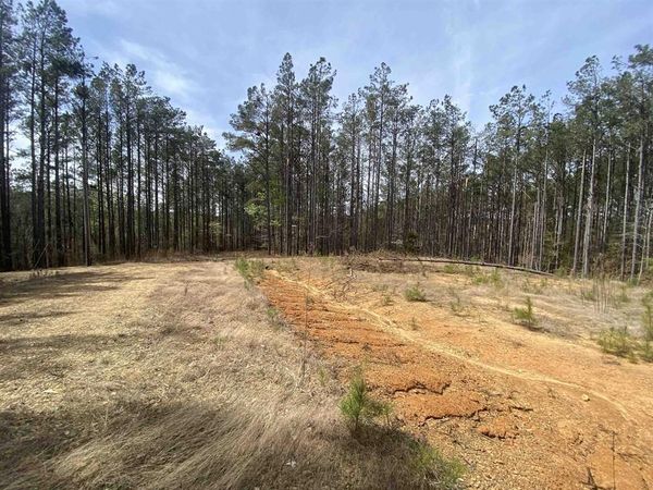 Lot 29, Iuka, MS 38852