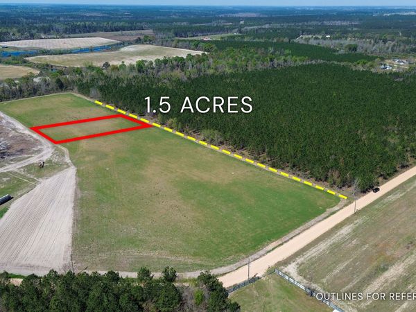 TRACT 3 - 112 Seahorse Road, Alma, GA 31510