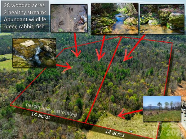 0000 Jimmy Fox Lane , Taylorsville, NC 28681