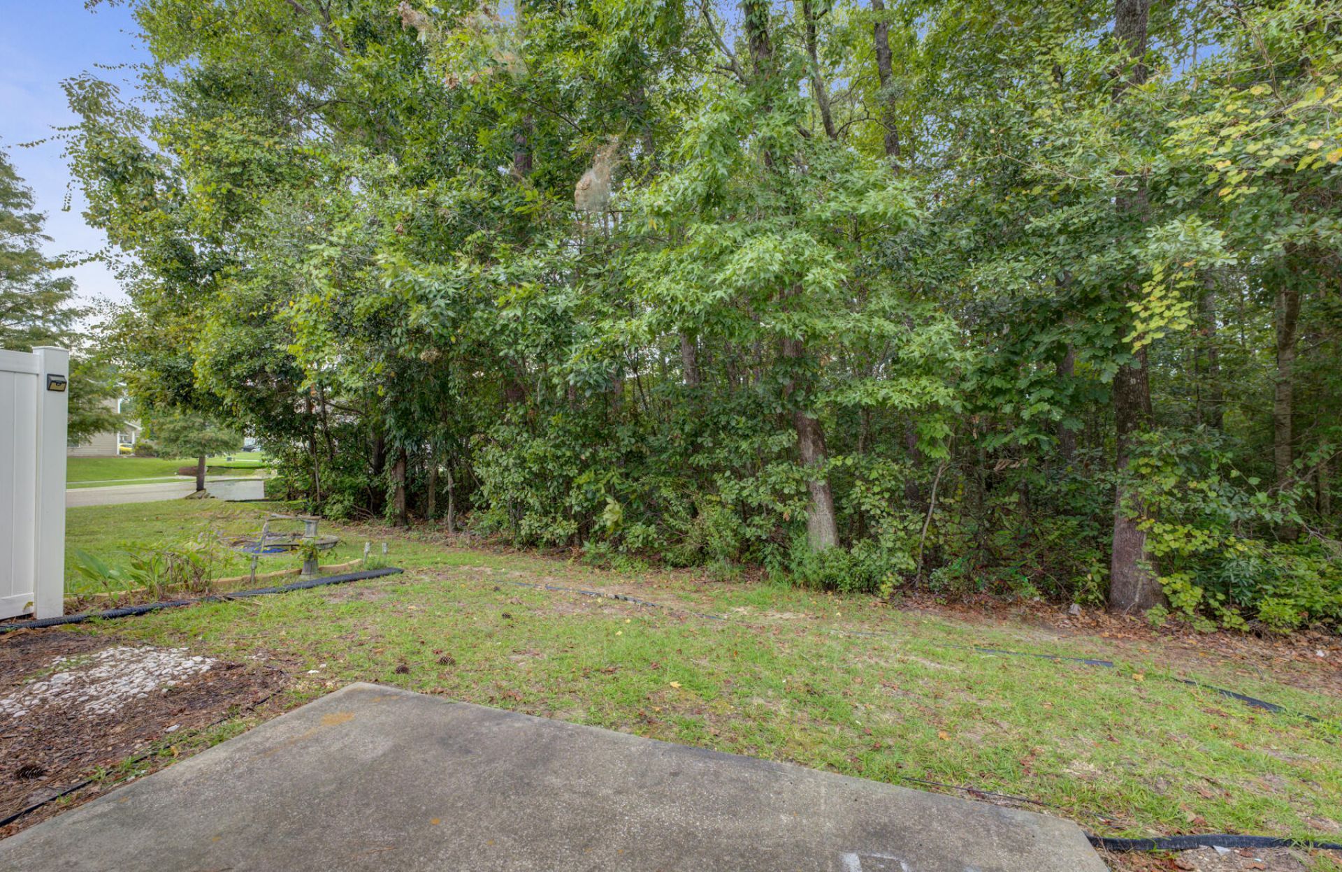 8849 Jenny Lind Street Photo 28