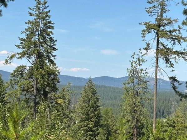 34711 N Waldrons Ln, Chattaroy, WA 99003