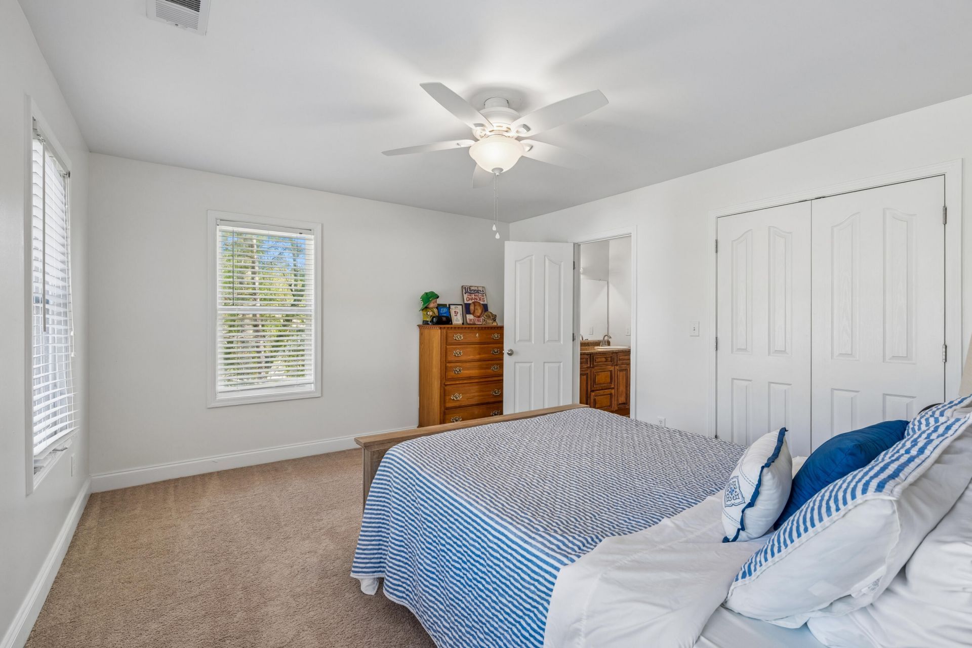 4207 Cottage Grove Court Photo 51