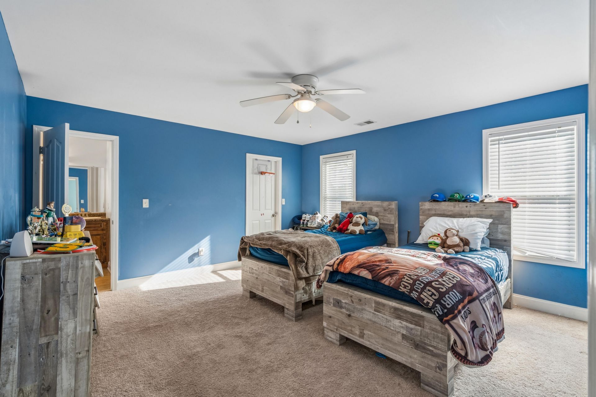 4207 Cottage Grove Court Photo 52