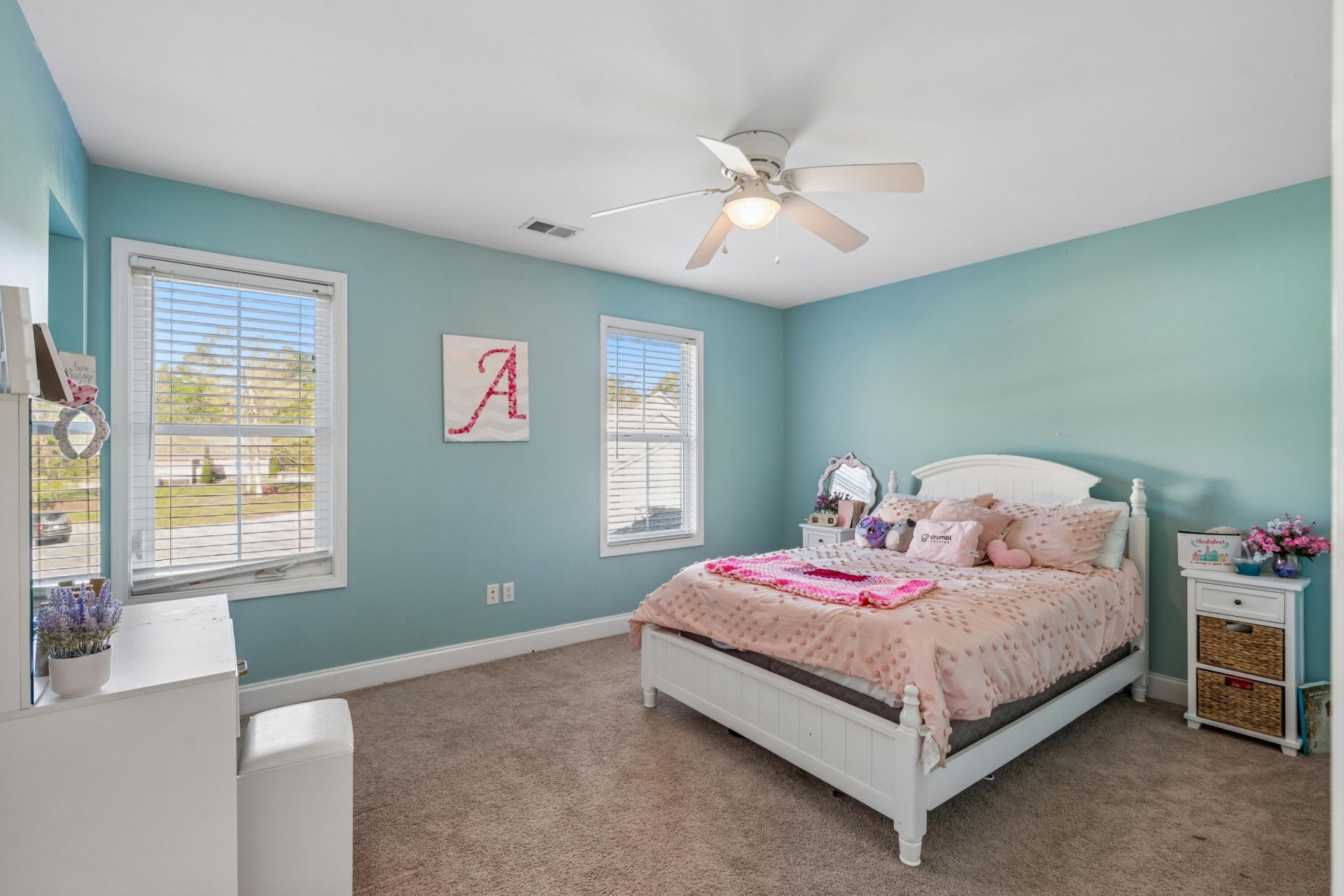 4207 Cottage Grove Court Photo 57