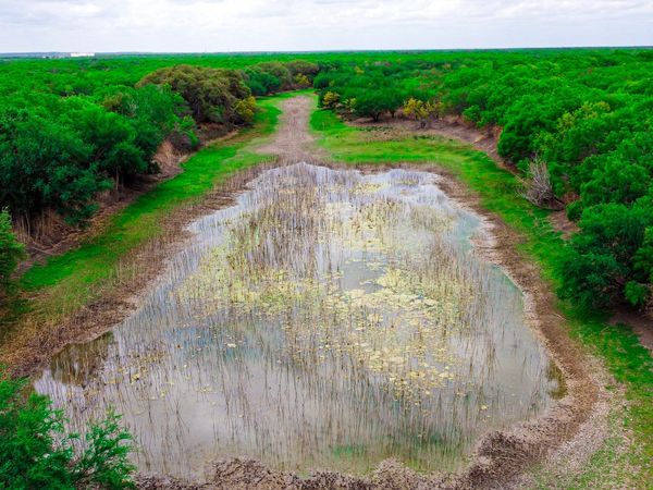 000 Koon Hill Rd., Fowlerton, TX 78021