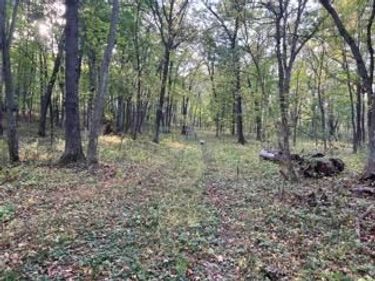 12216 Arcola Trail N, Stillwater, MN 55082