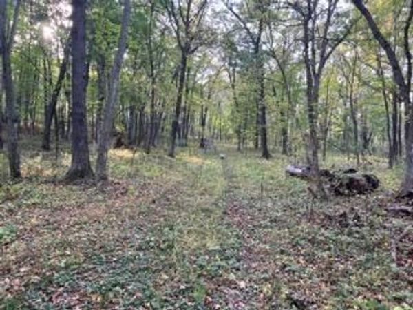 12216 Arcola Trail N, Stillwater, MN 55082