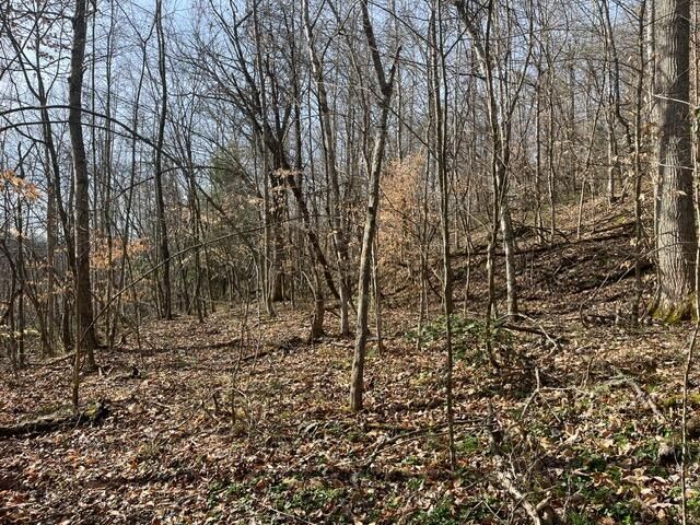 326 Earl Crisp Road, Sandy Hook, KY 41171