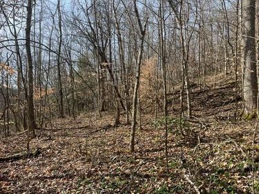 326 Earl Crisp Road, Sandy Hook, KY 41171