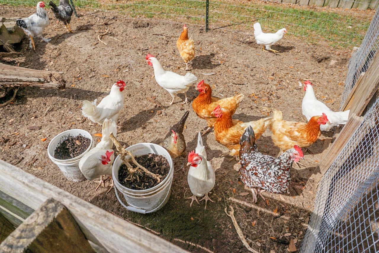 135 General Washington Boulevard Photo 57