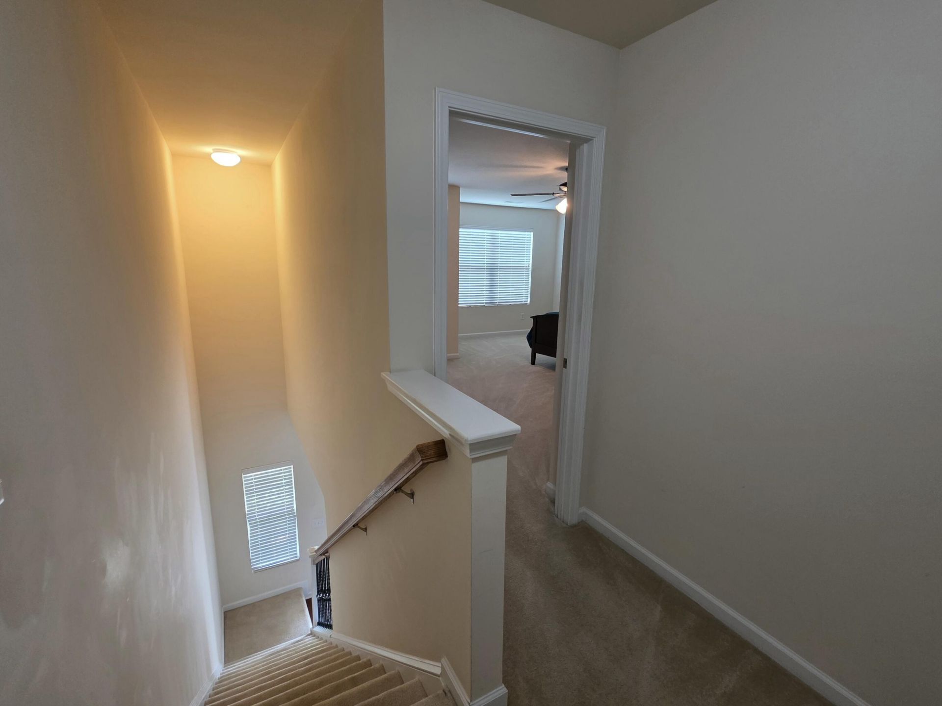 1805 Heldsberg Drive Photo 13