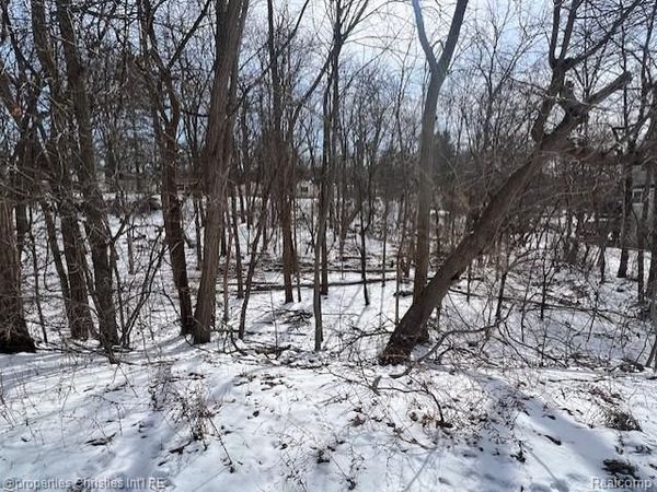 439 Alberta Street Lot 80, Auburn Hills, MI 48326