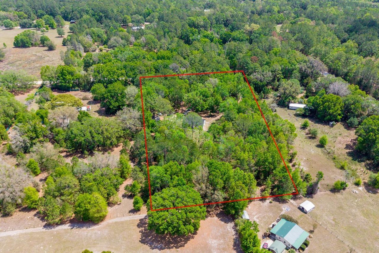 456 SW Bradenton Way, Fort White, FL 32038 Photo
