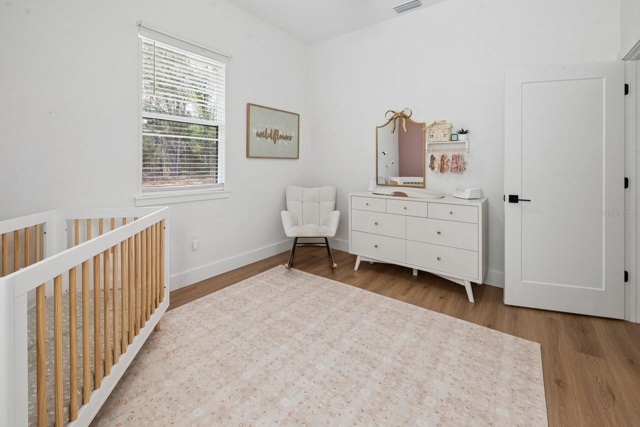 456 SW Bradenton Way, Fort White, FL 32038 Photo