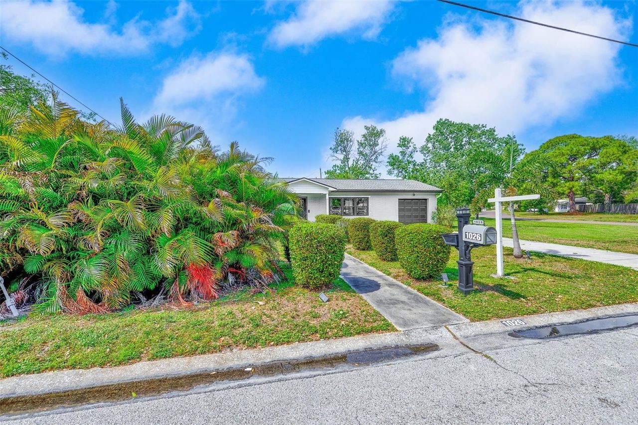 1026 Meadowlawn Drive N, Saint Petersburg, FL 33702 Photo