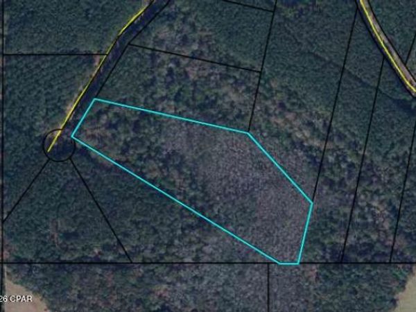 0 REEDY CREEK CROSSING , Westville, FL 32464