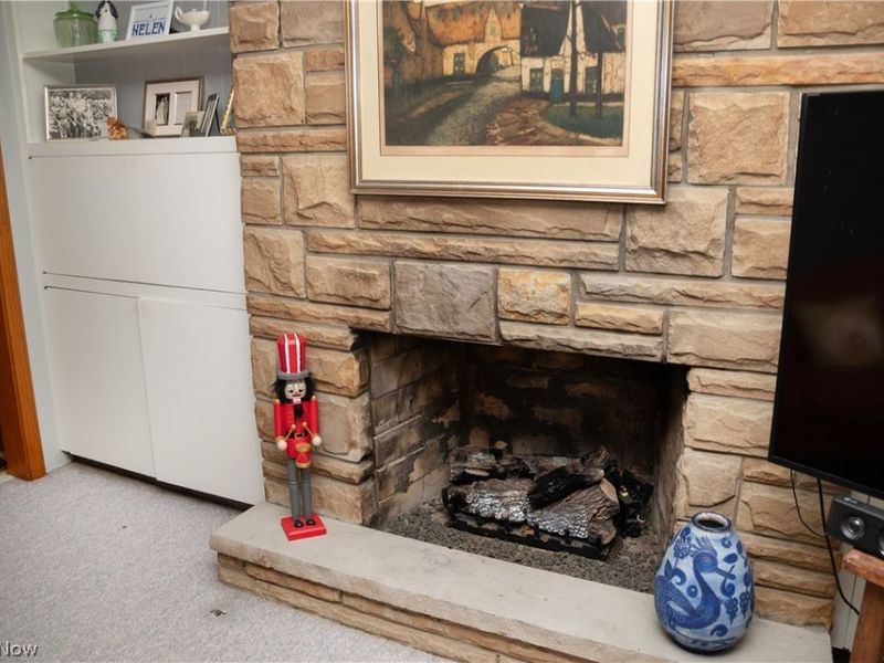 2004 Burning Tree Lane , Youngstown, OH 44505 Photo 15