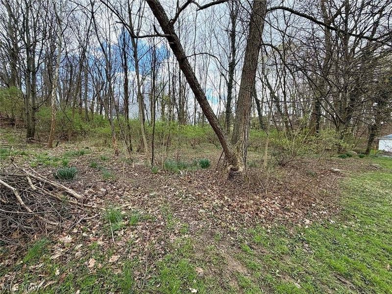 1610 Connecticut Avenue SE, Massillon, OH 44646 Photo 16