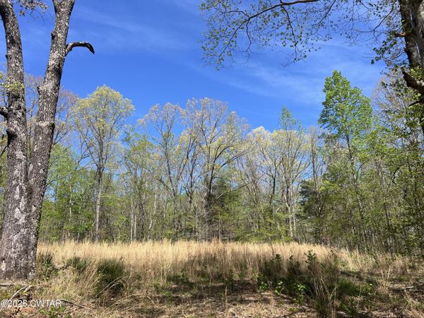 942 Excalibur Trail (Lot 101) Trail, Cedar Grove, TN 38321