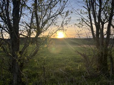 3991 Jackson Ferry Road, Winchester, KY 40391