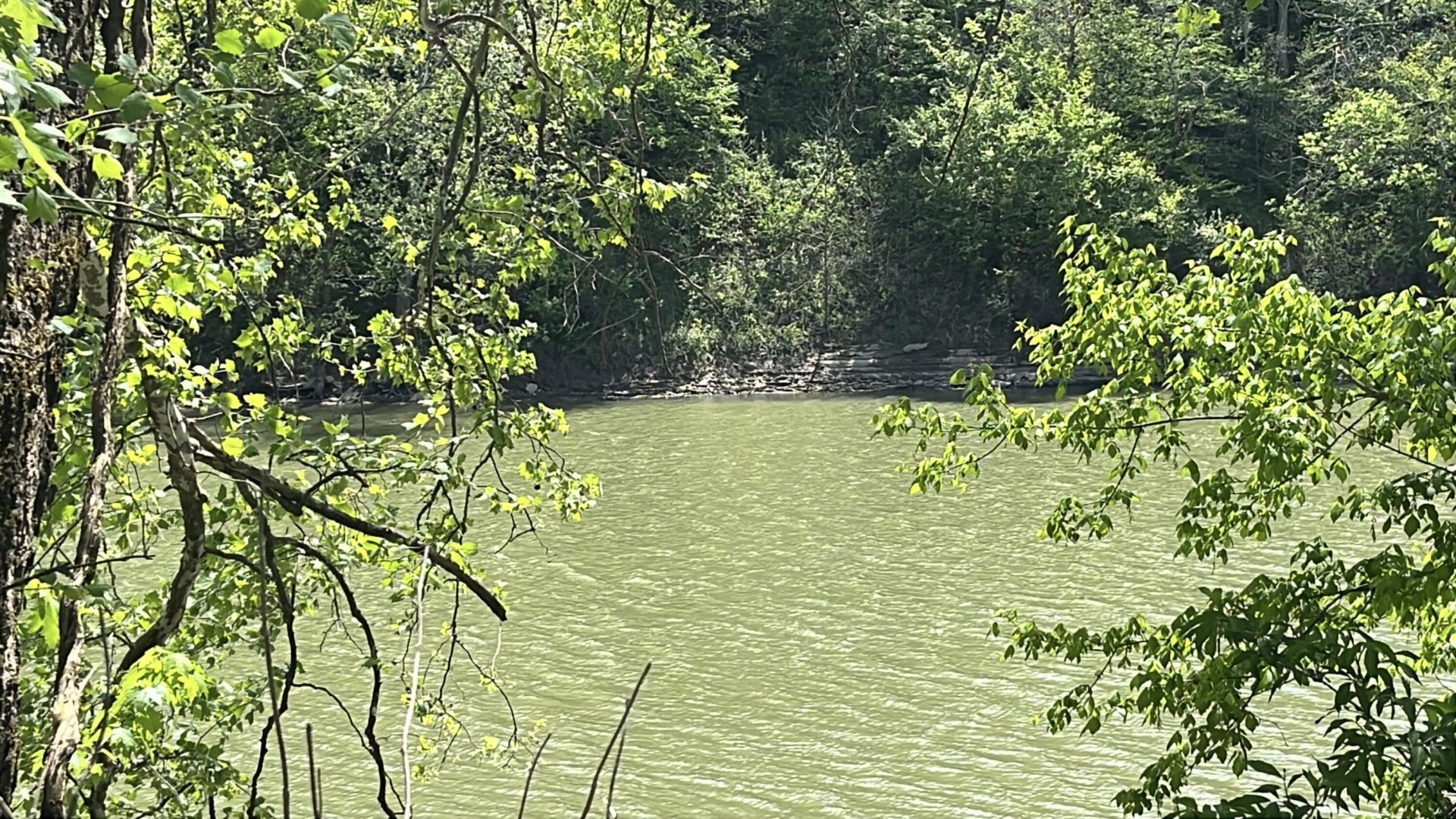 3759 Jackson Ferry Road, Winchester, KY 40391 Main Photo