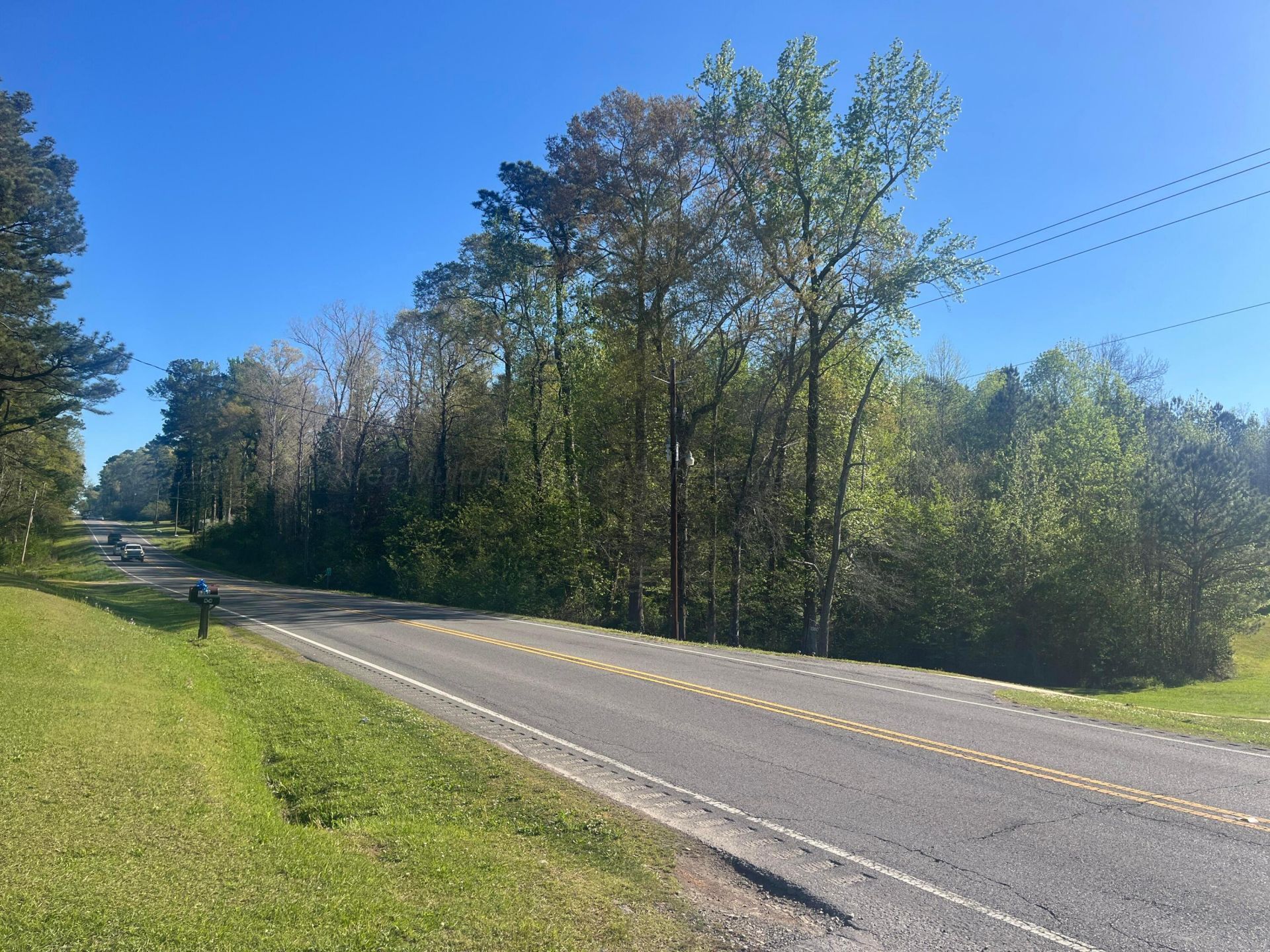 Highway 195, Jasper, AL 35504 Main Photo