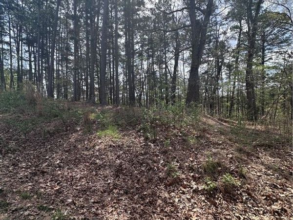 TBD Hallock Drive, Bella Vista, AR 72714