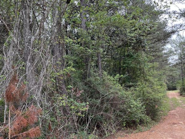 Hwy 49, Brooklyn, MS 39425